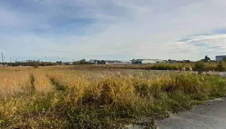 immagine annuncio 4 di 13