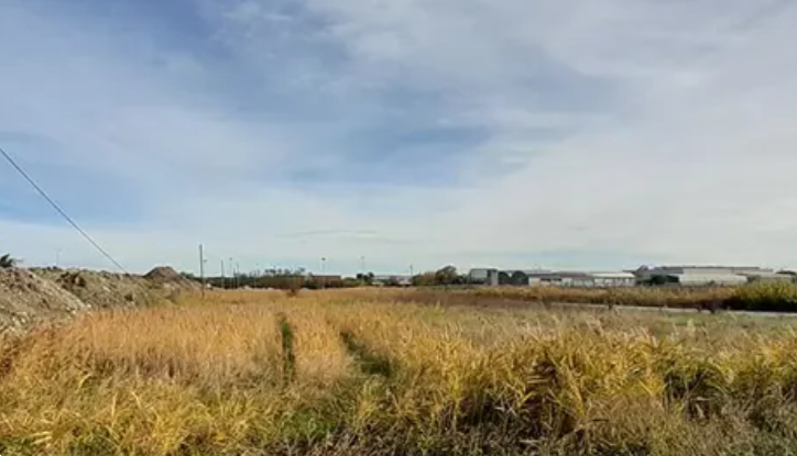 immagine annuncio 5 di 13