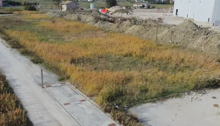 immagine annuncio 9 di 13