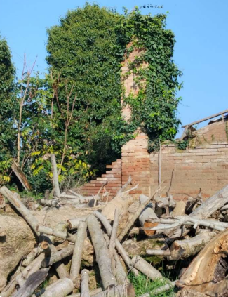 immagine annuncio 4 di 13