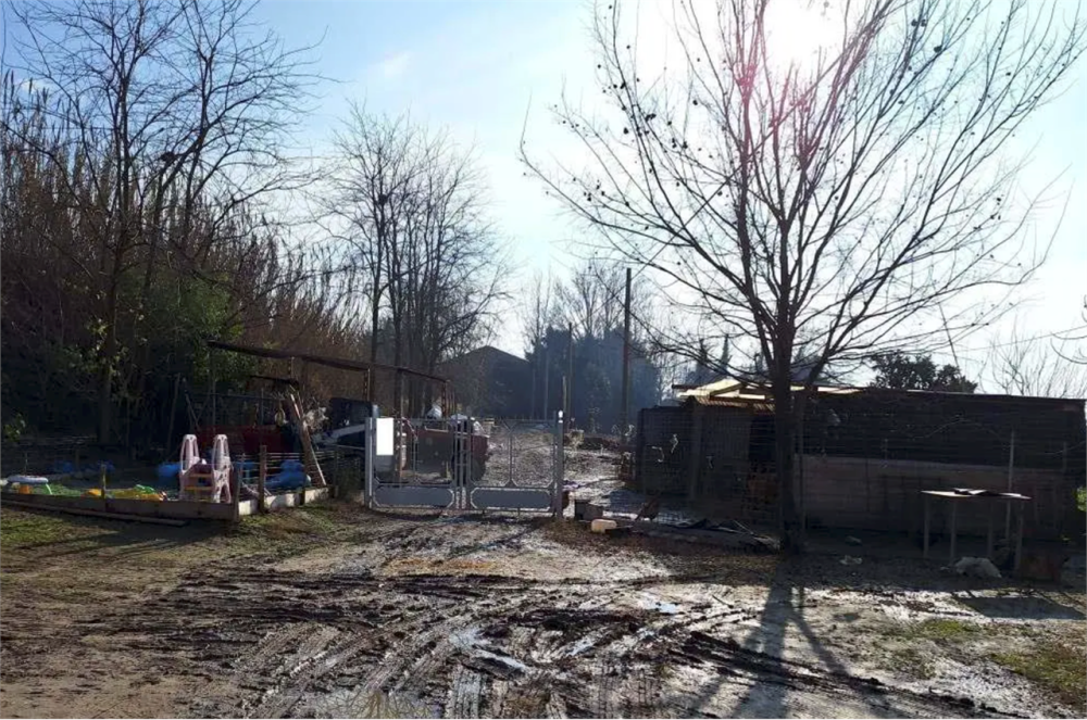 immagine annuncio 1 di 13