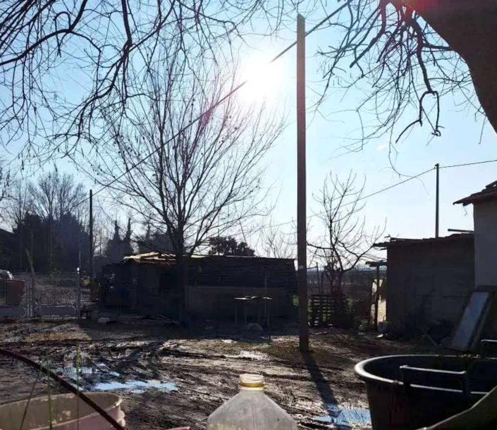 immagine annuncio 2 di 13