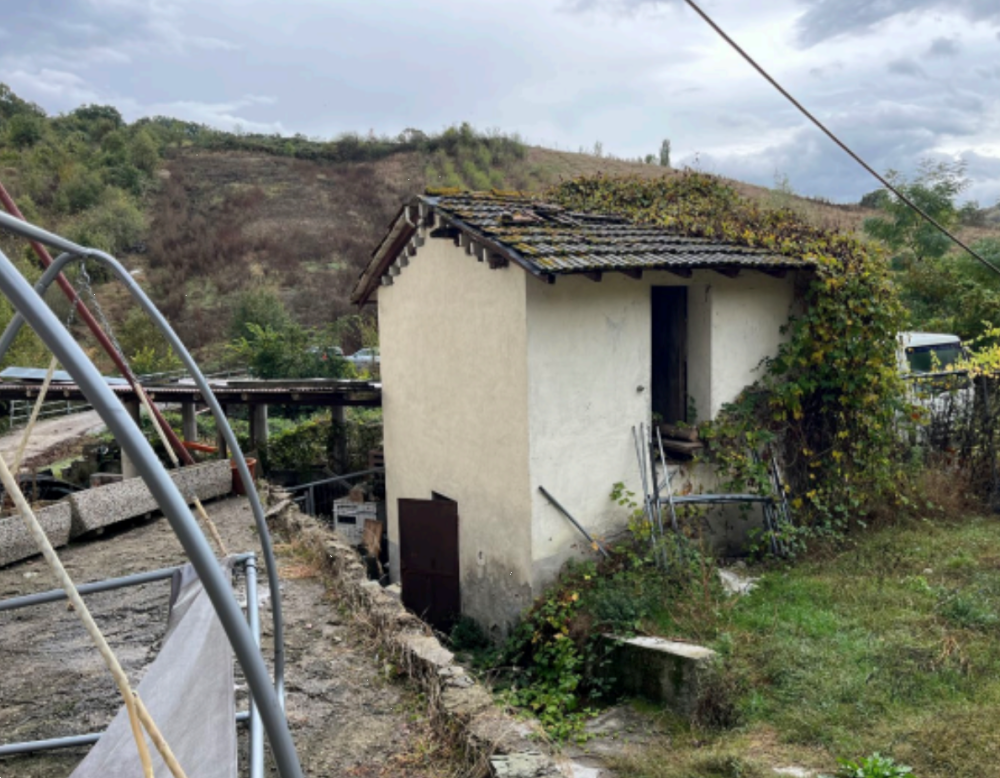 immagine annuncio 4 di 13