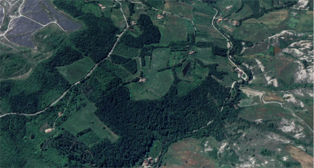 immagine annuncio 9 di 13