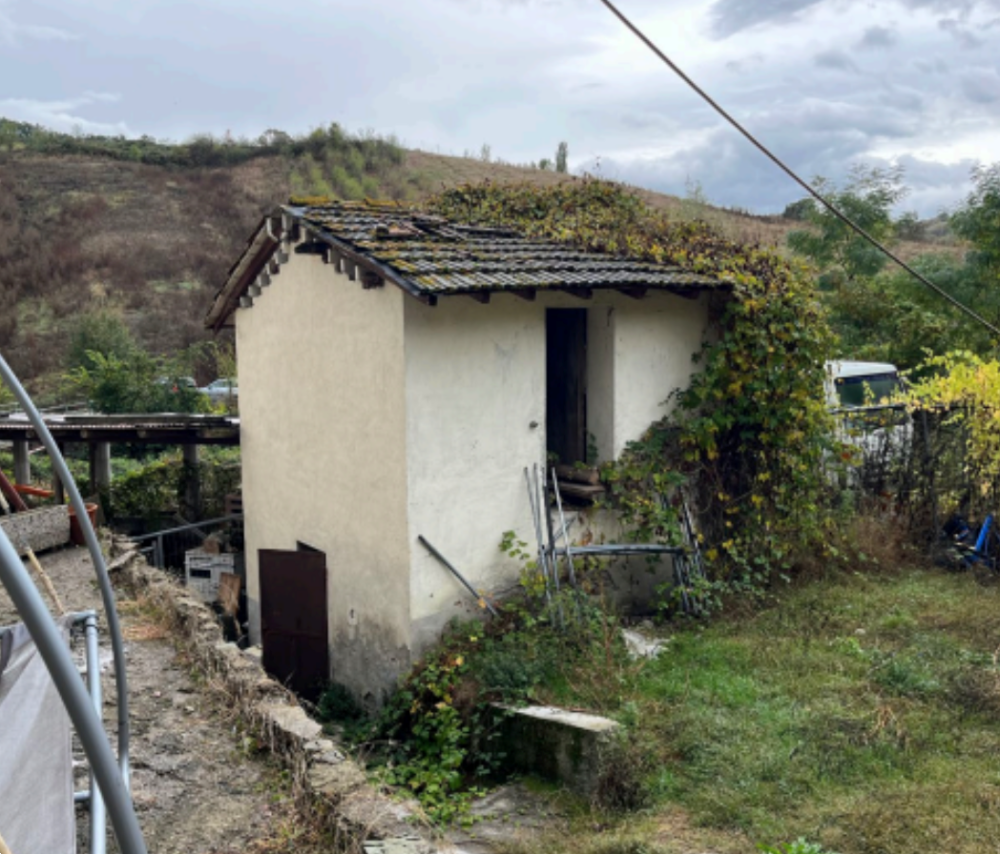 immagine annuncio 2 di 13