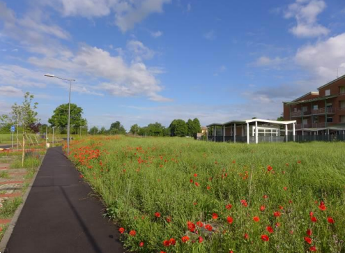 immagine annuncio 8 di 9