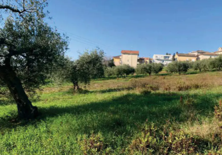 immagine annuncio 1 di 13