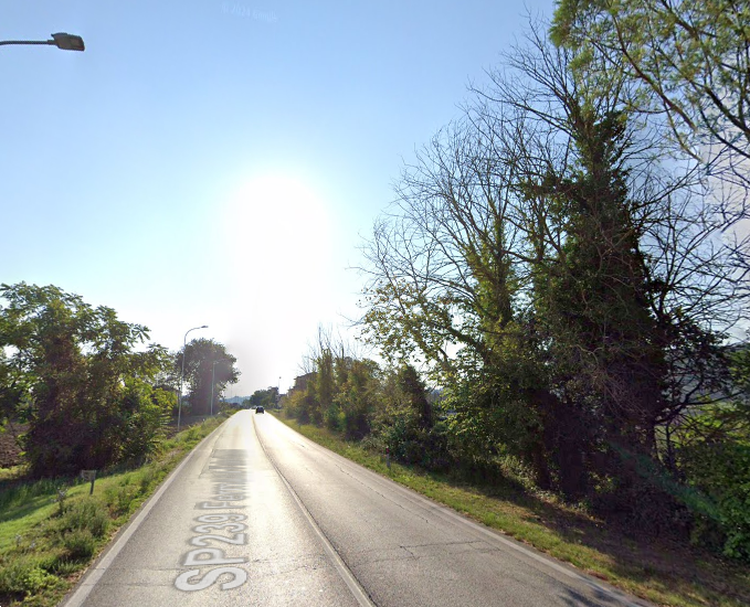 immagine annuncio 2 di 10