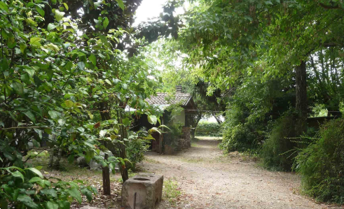 immagine annuncio 2 di 13