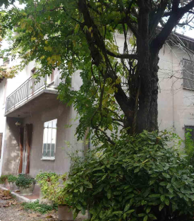 immagine annuncio 7 di 13