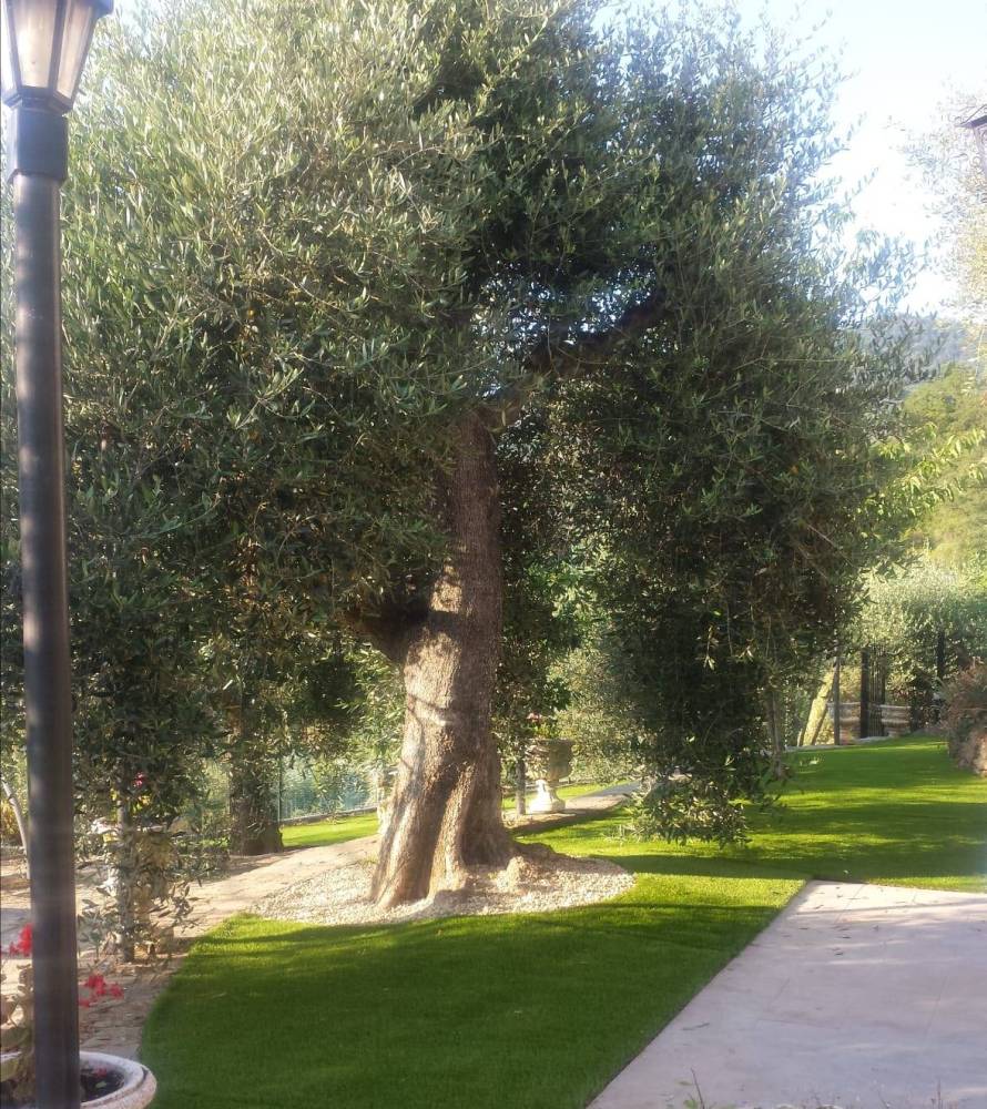 immagine annuncio 6 di 13