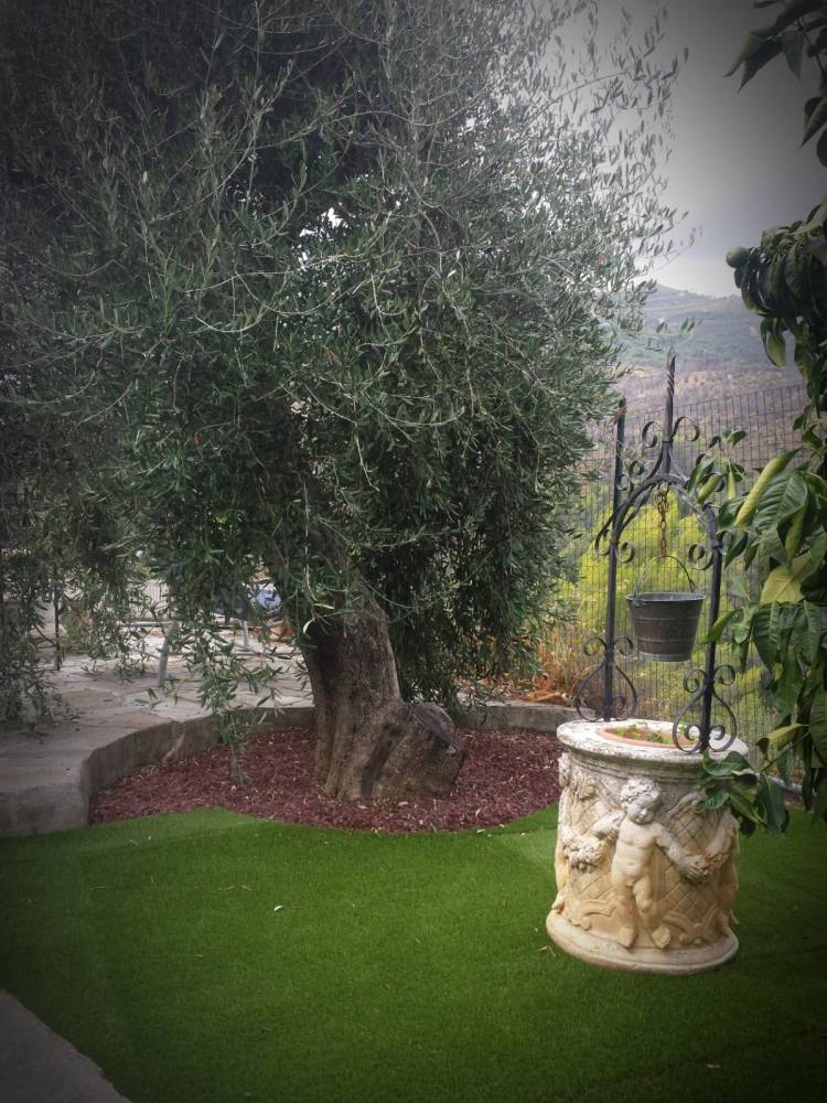 immagine annuncio 8 di 13