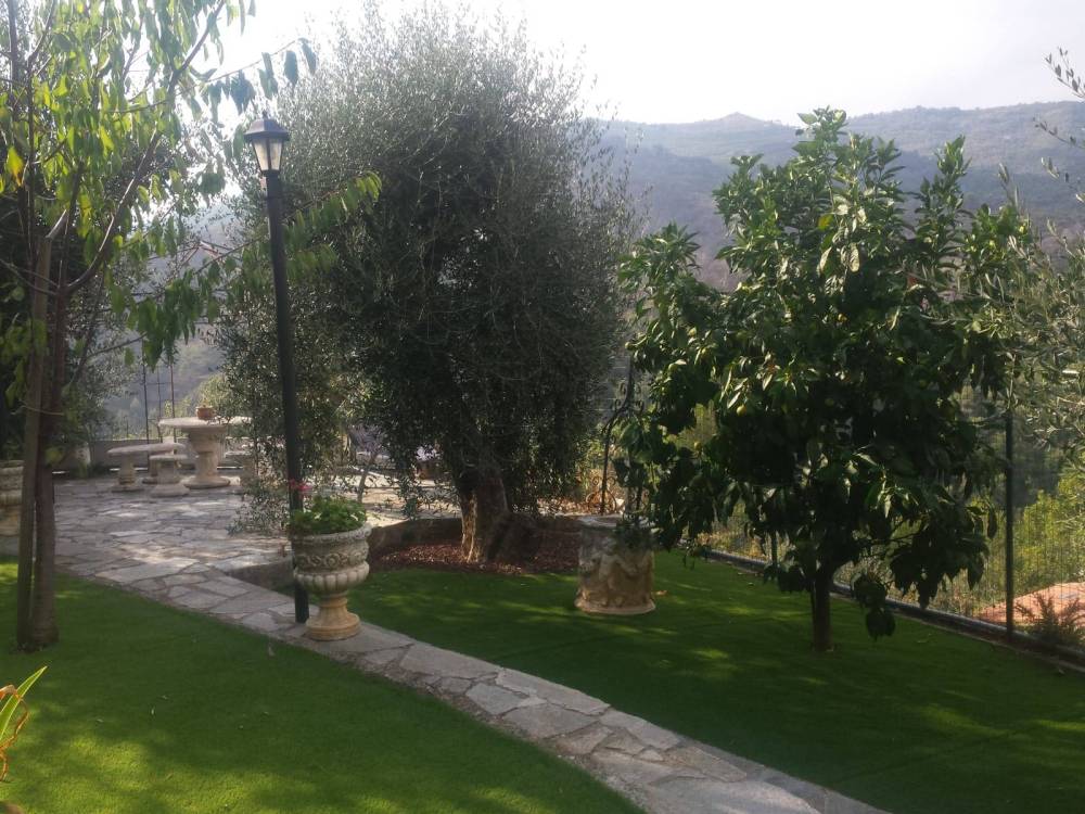 immagine annuncio 9 di 13