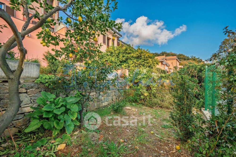 immagine annuncio 8 di 13