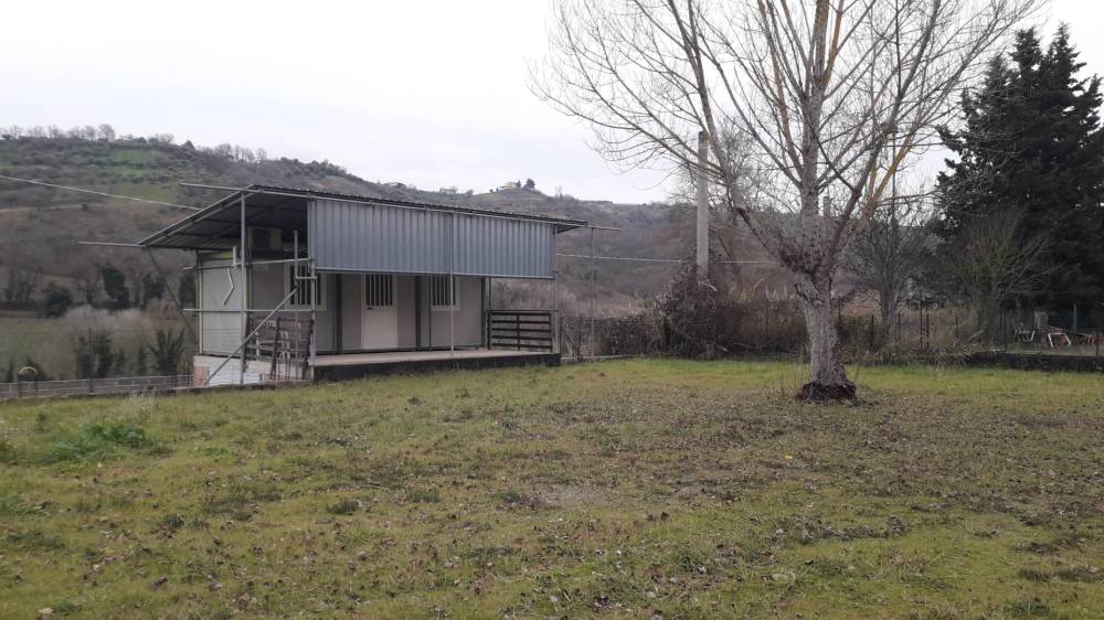 immagine annuncio 1 di 12