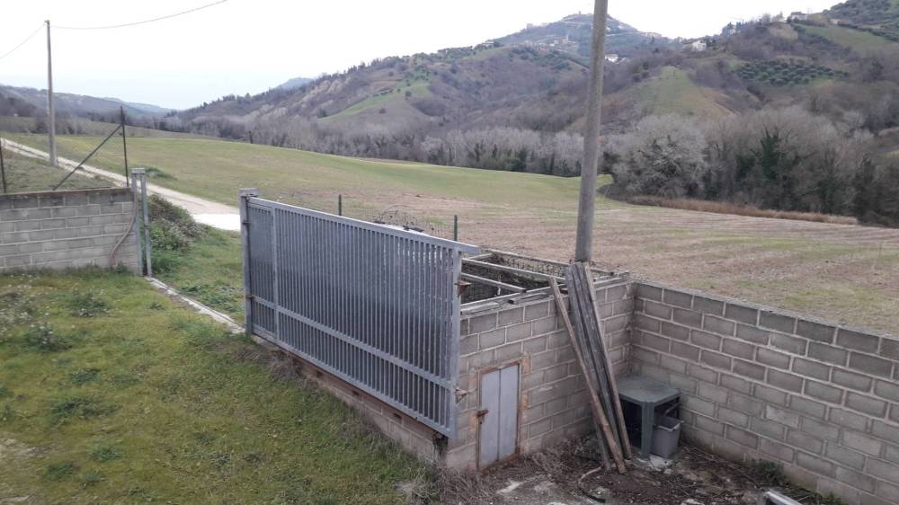 immagine annuncio 8 di 12