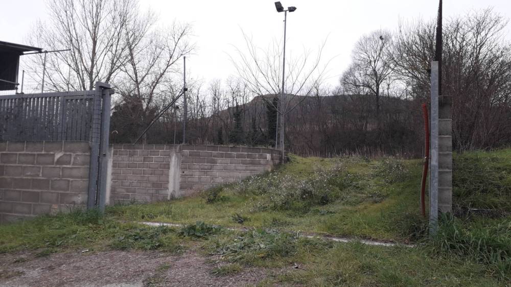 immagine annuncio 9 di 12