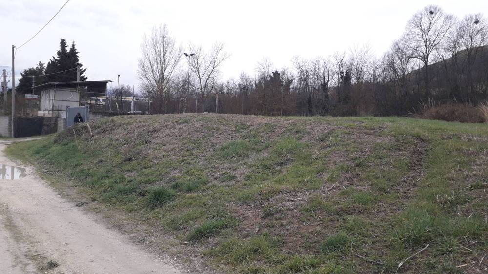 immagine annuncio 10 di 12