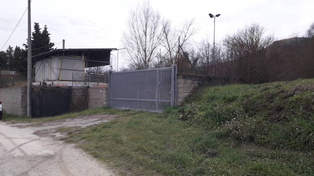 immagine annuncio 11 di 12