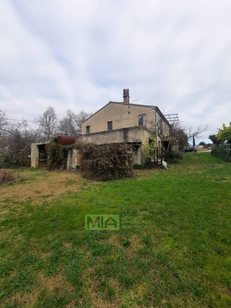 immagine annuncio 3 di 9