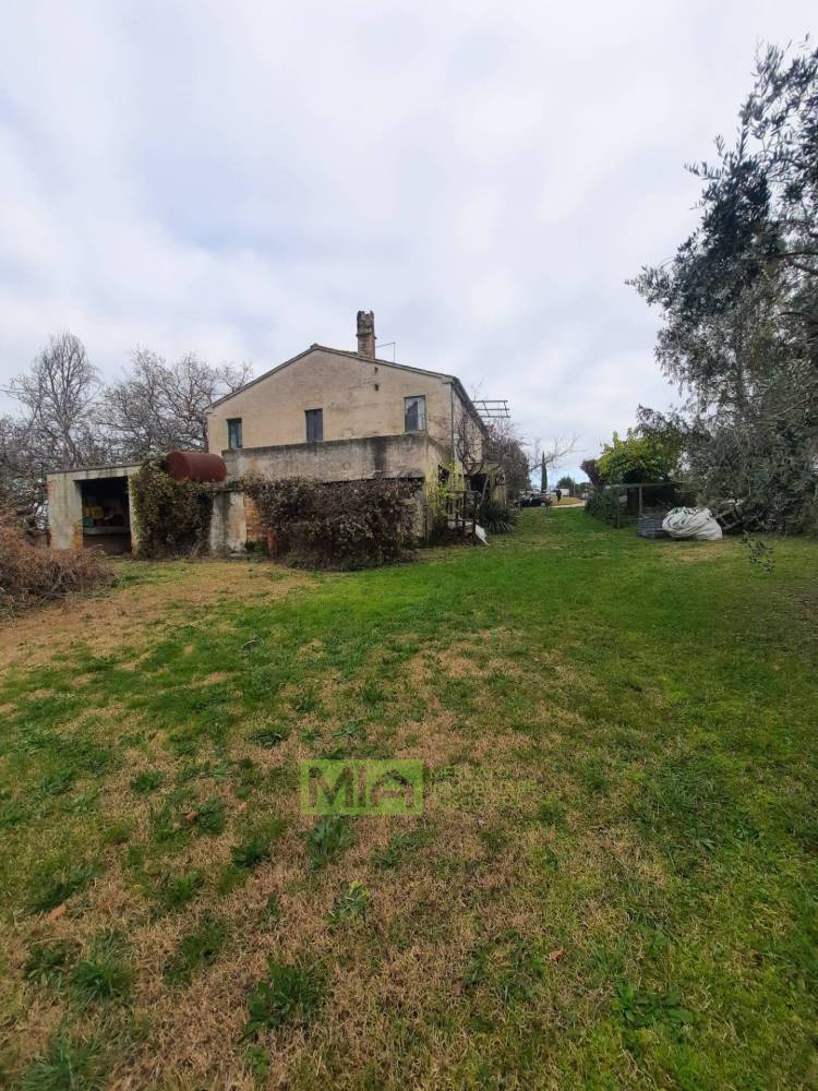 immagine annuncio 5 di 9