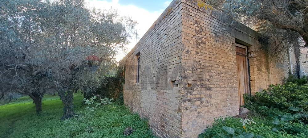 immagine annuncio 2 di 13