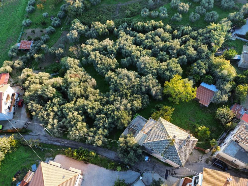 immagine annuncio 11 di 13