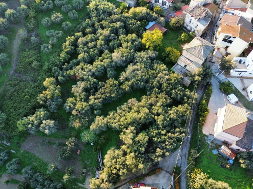 immagine annuncio 12 di 13