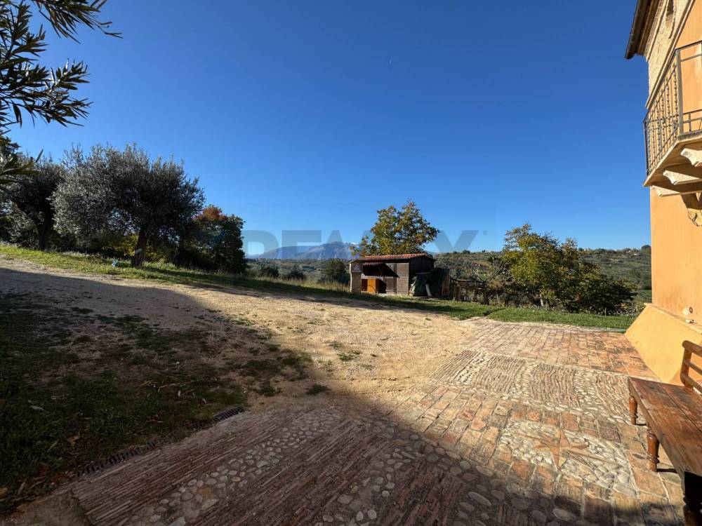 immagine annuncio 6 di 13