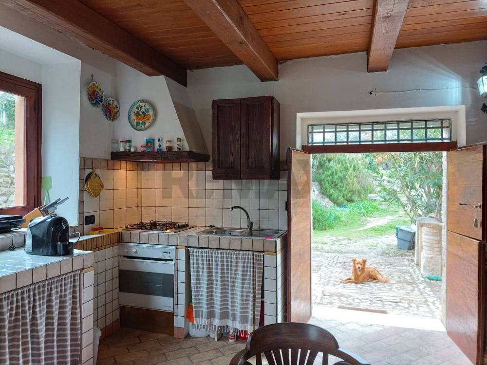 immagine annuncio 5 di 13