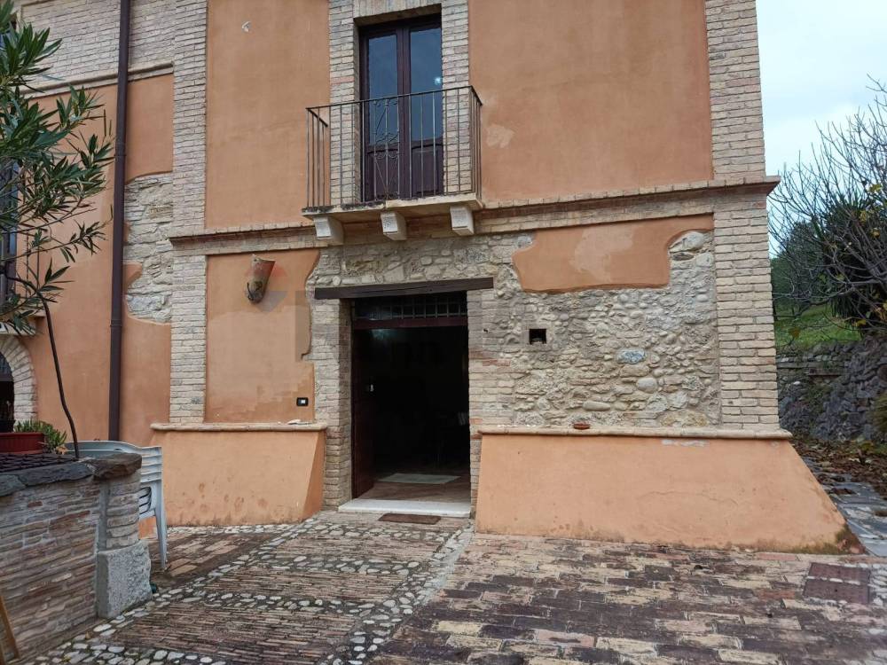 immagine annuncio 12 di 13