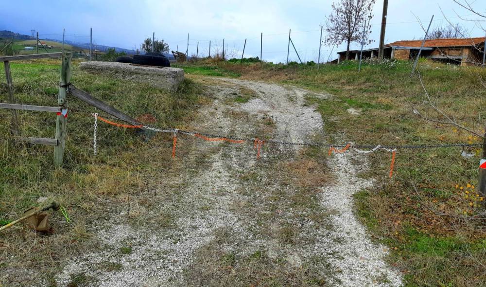 immagine annuncio 2 di 4