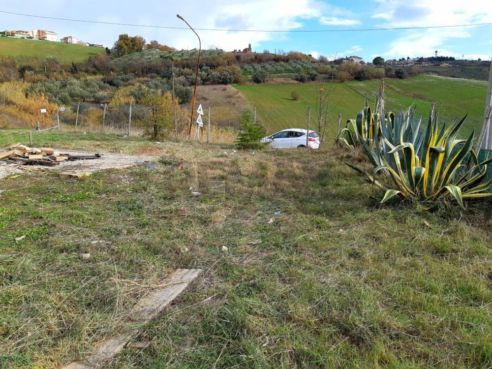 immagine annuncio 3 di 4