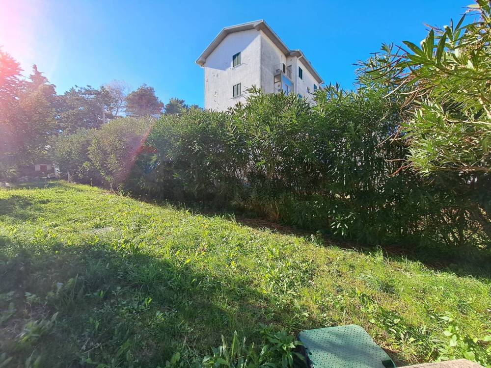 immagine annuncio 2 di 13