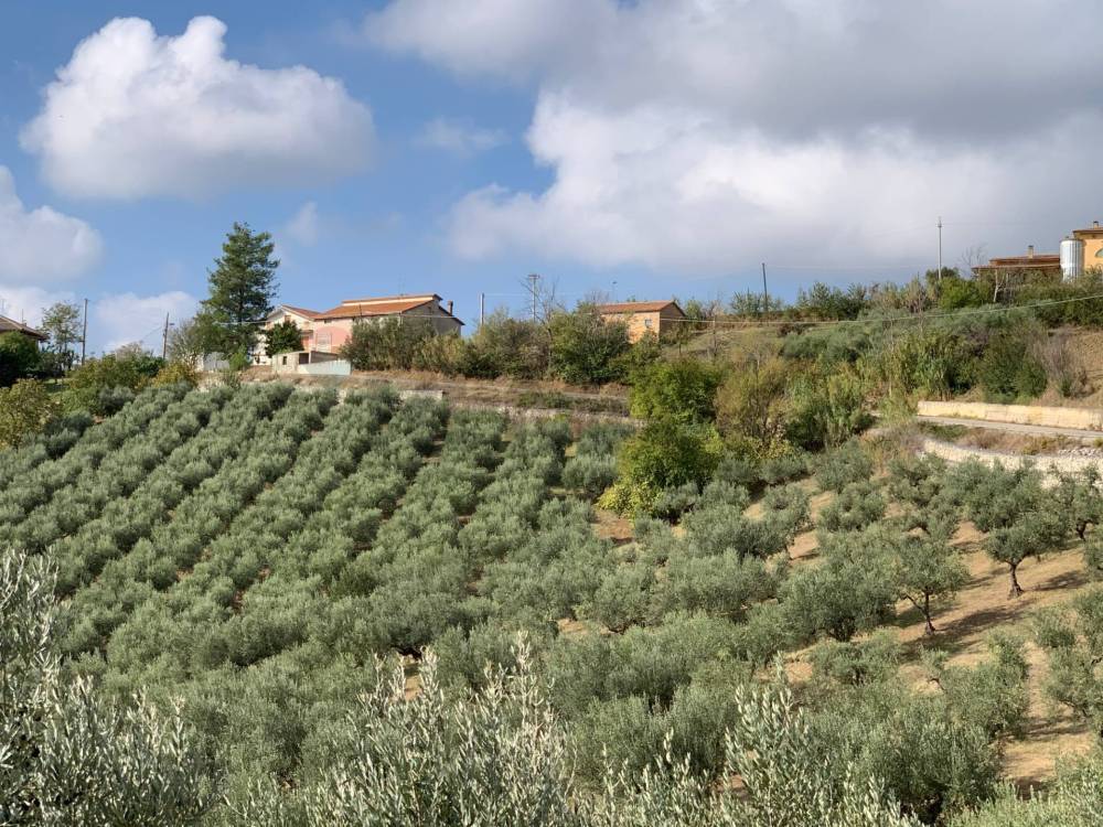 immagine annuncio 1 di 13