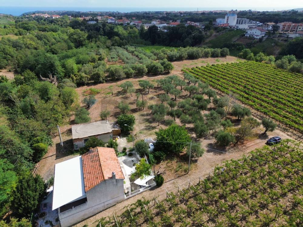 immagine annuncio 6 di 13