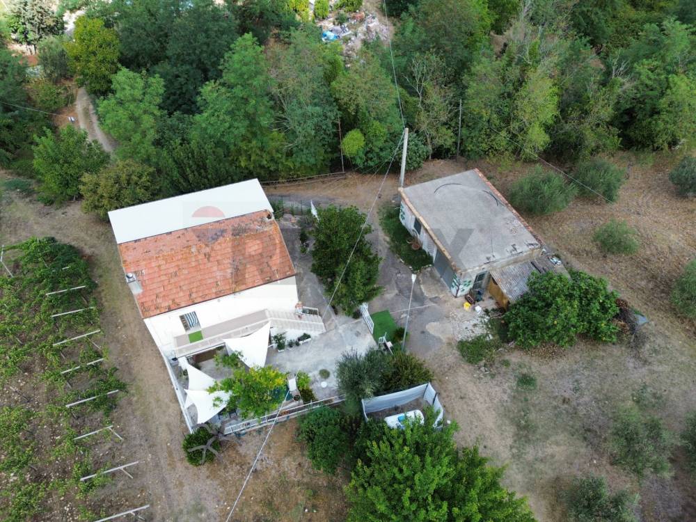 immagine annuncio 7 di 13