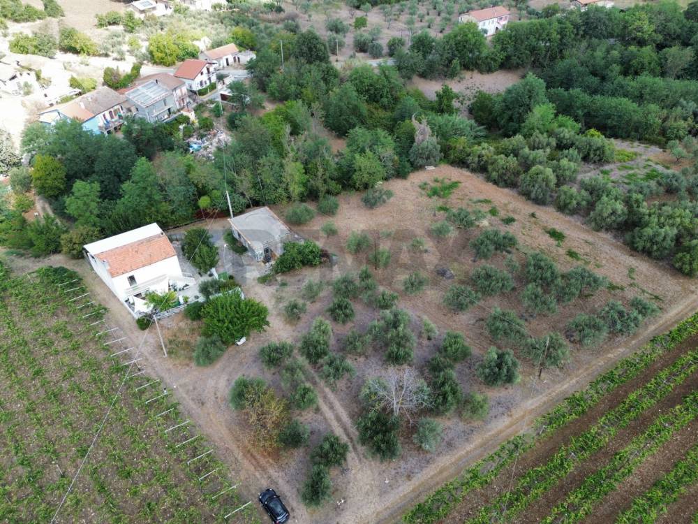 immagine annuncio 3 di 13