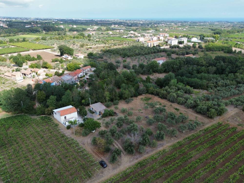 immagine annuncio 4 di 13