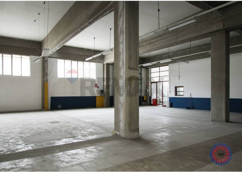 immagine annuncio 6 di 13