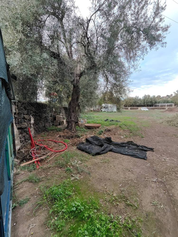 immagine annuncio 7 di 9