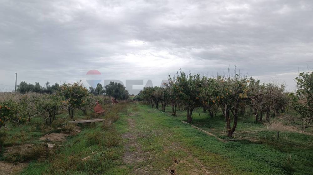 immagine annuncio 8 di 13