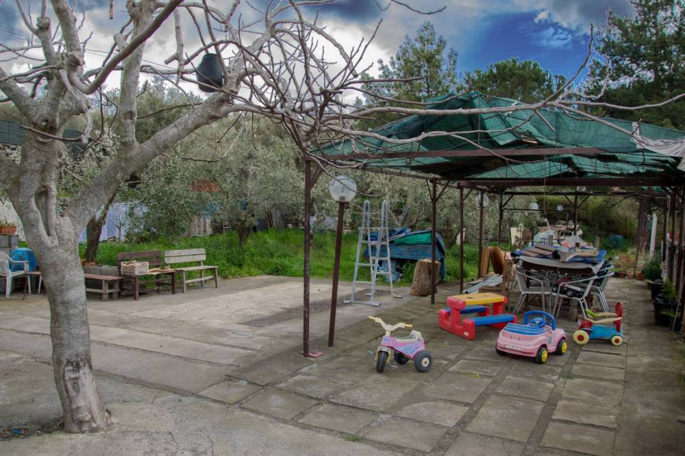 immagine annuncio 11 di 13