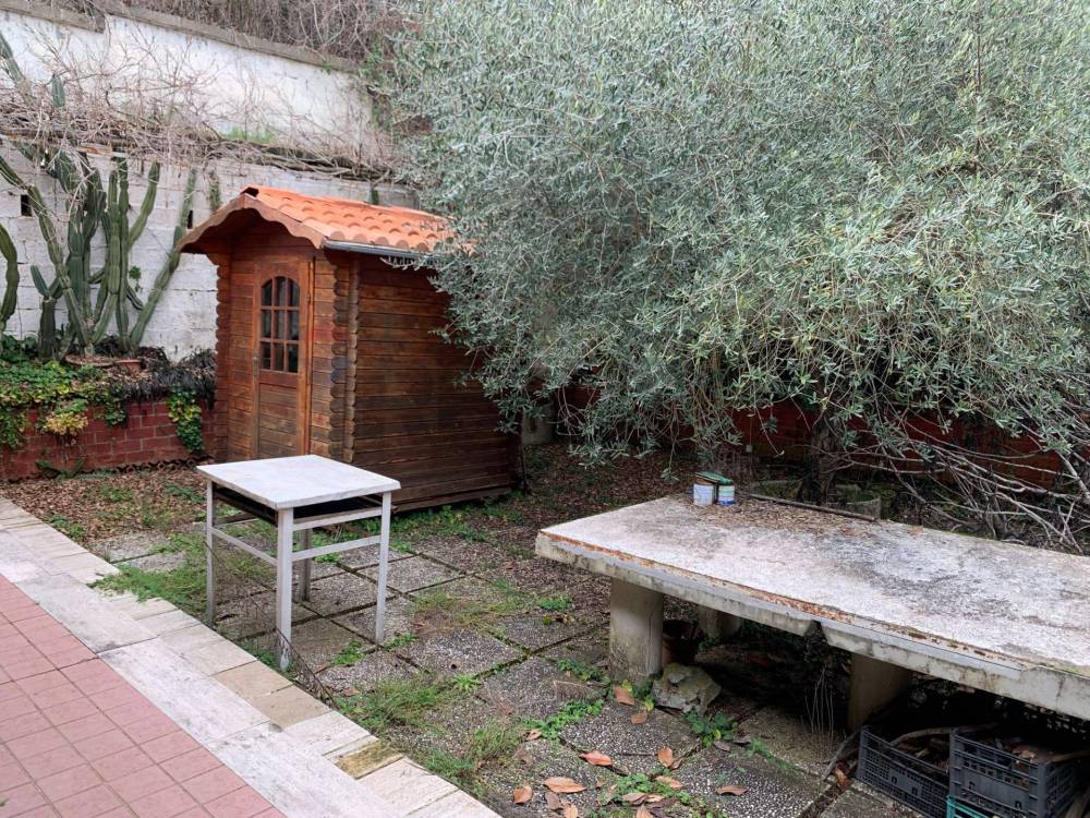 immagine annuncio 9 di 13