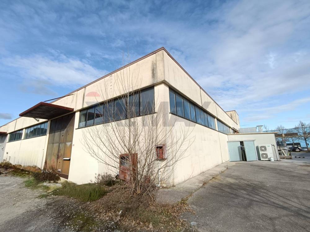 immagine annuncio 2 di 4