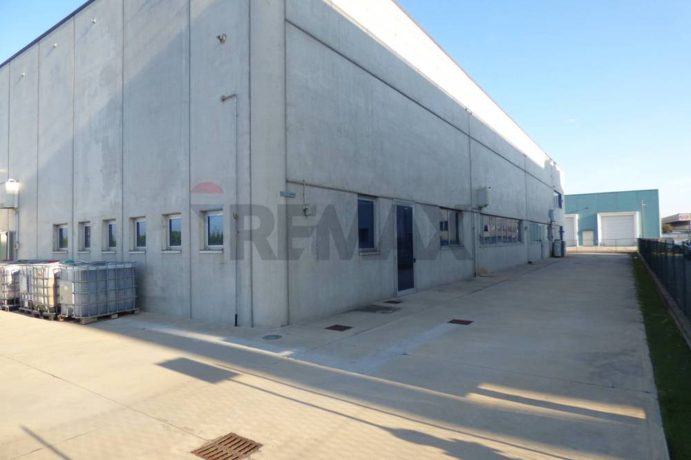 immagine annuncio 4 di 13