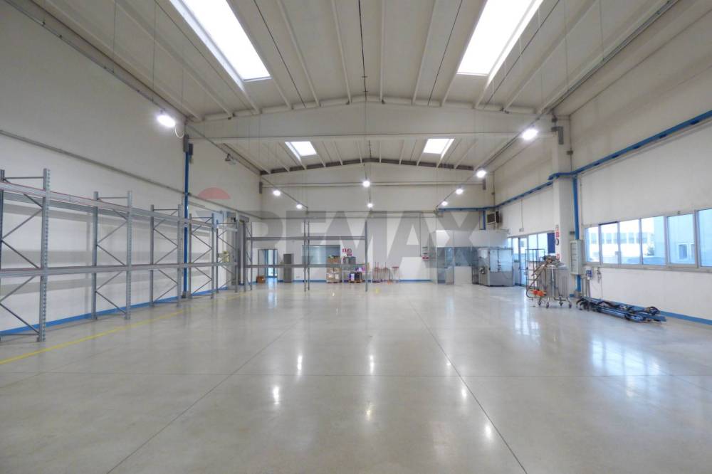 immagine annuncio 6 di 13