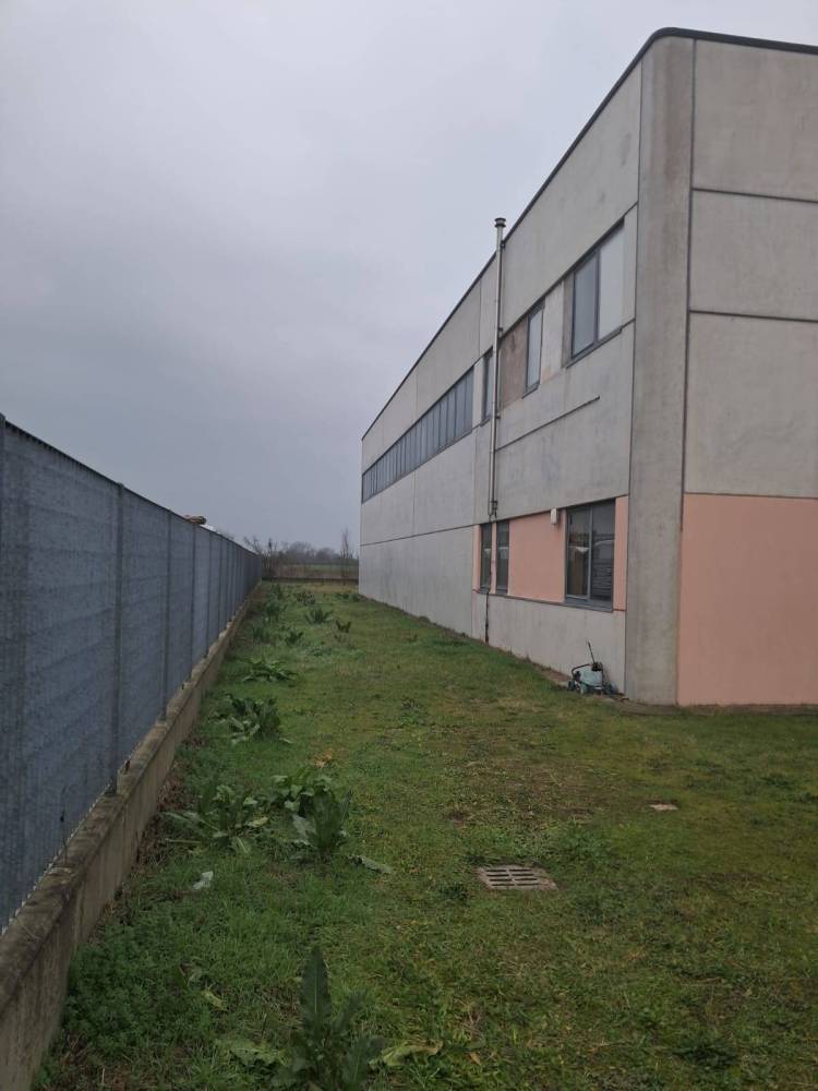 immagine annuncio 4 di 13