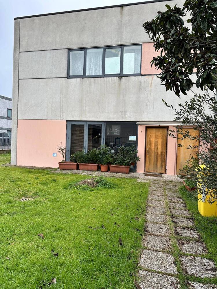 immagine annuncio 3 di 13