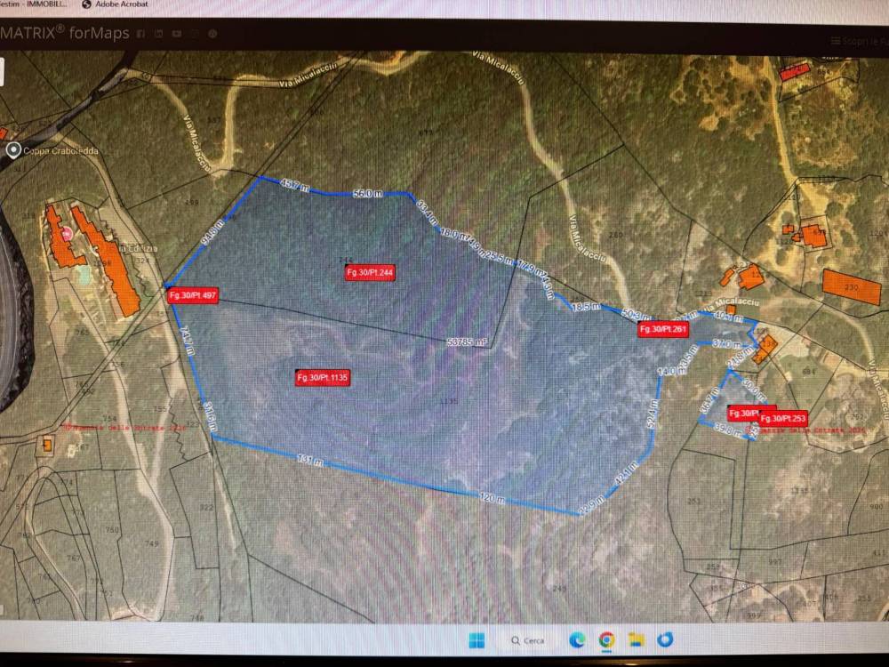 immagine annuncio 5 di 9